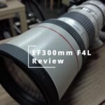 Canon ef300mm F4L USM の分解 そしてレビュー