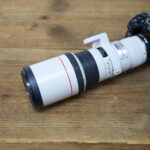 Canon ef400mm F5.6L USM を Sony α7Riii で使ってみたレビュー