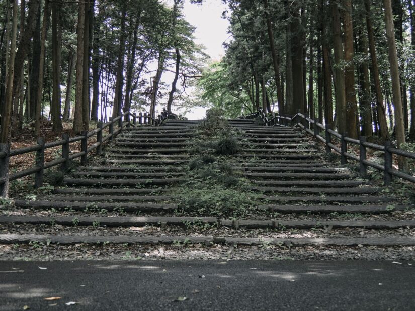 OM-5 ( f/4, 1/60sec, ISO-320, 21mm )