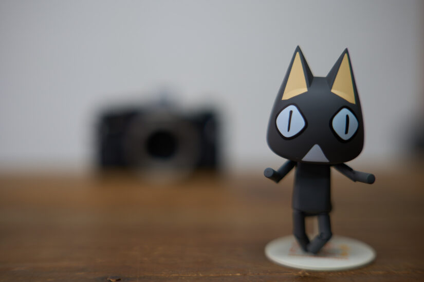 Samyang AF 50mm F1.4 II ( f/1.4, 1/80sec, ISO-100, 50mm )