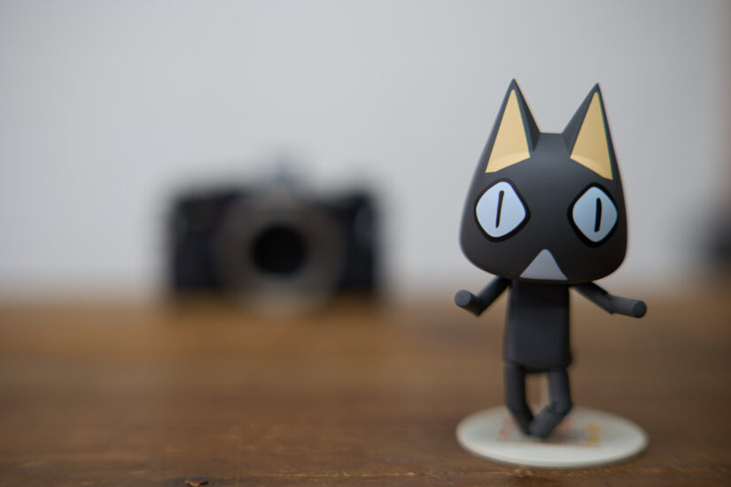 Samyang AF 50mm F1.4 II ( f/2, 1/50sec, ISO-100, 50mm )