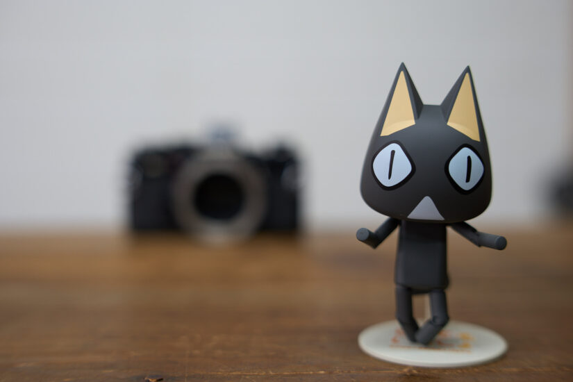 Samyang AF 50mm F1.4 II ( f/2.8, 1/50sec, ISO-160, 50mm )