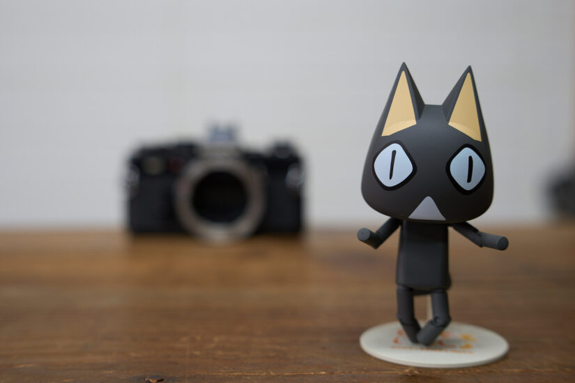 Samyang AF 50mm F1.4 II ( f/4, 1/50sec, ISO-320, 50mm )