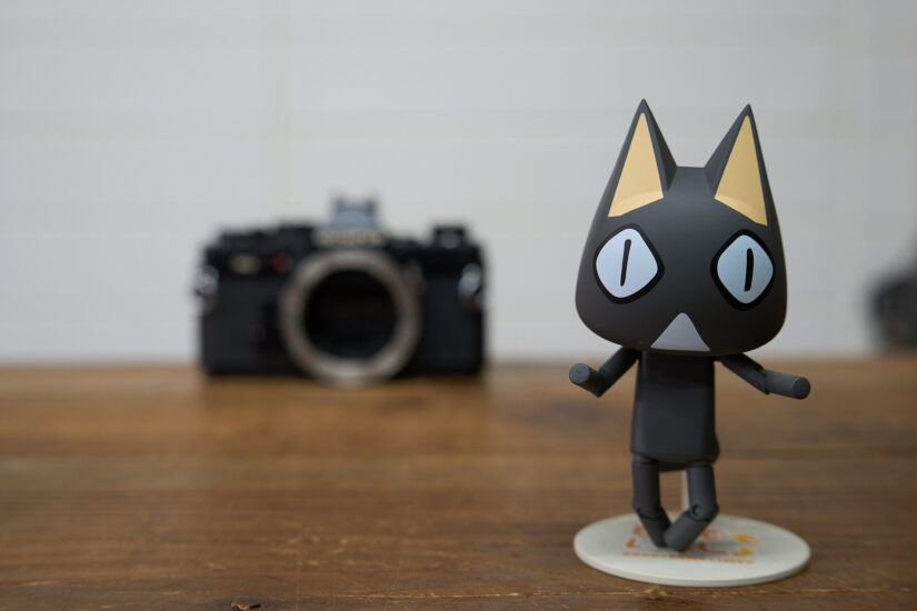 Samyang AF 50mm F1.4 II ( f/5.6, 1/50sec, ISO-800, 50mm )