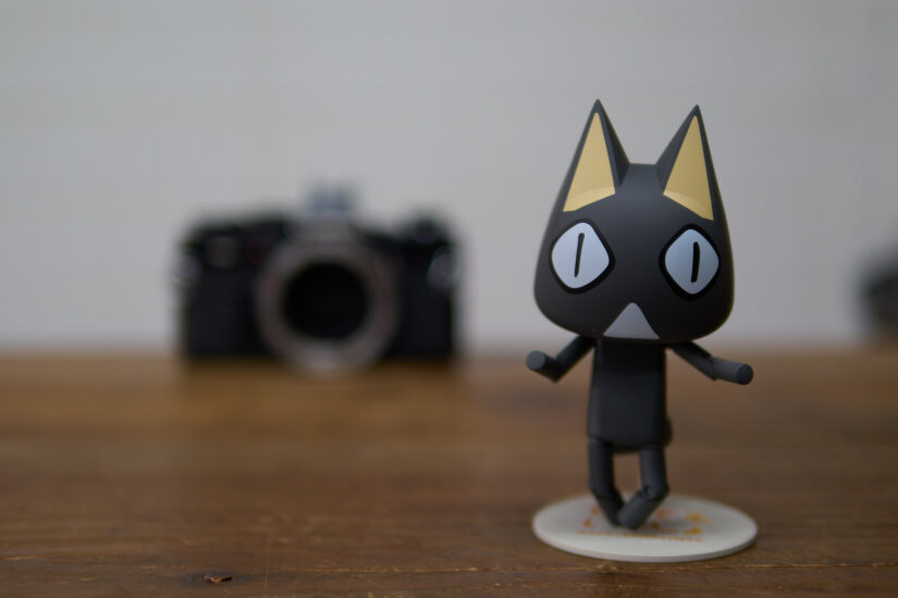 LEICA DG SUMMILUX 25-F1.4 II ( f/1.4, 1/100sec, ISO-100, 25mm )
