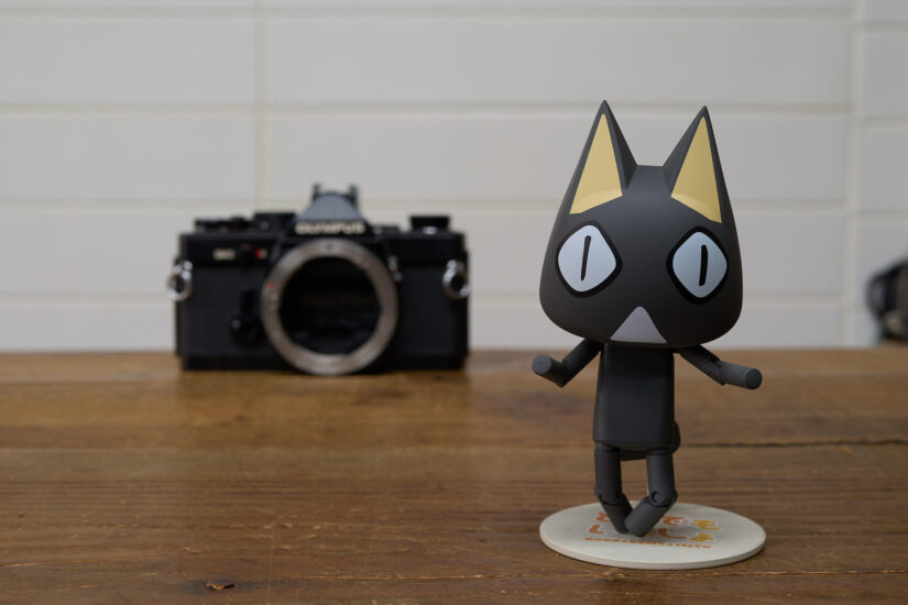 LEICA DG SUMMILUX 25-F1.4 II ( f/5.6, 1/6sec, ISO-100, 25mm )