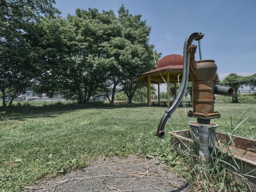 DC-G9M2 ( f/2.8, 1/1600sec, ISO-100, 8mm )