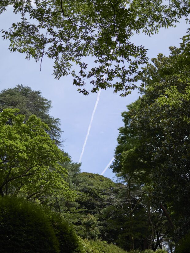 DC-G9M2 ( f/1.4, 1/10000sec, ISO-100, 25mm )