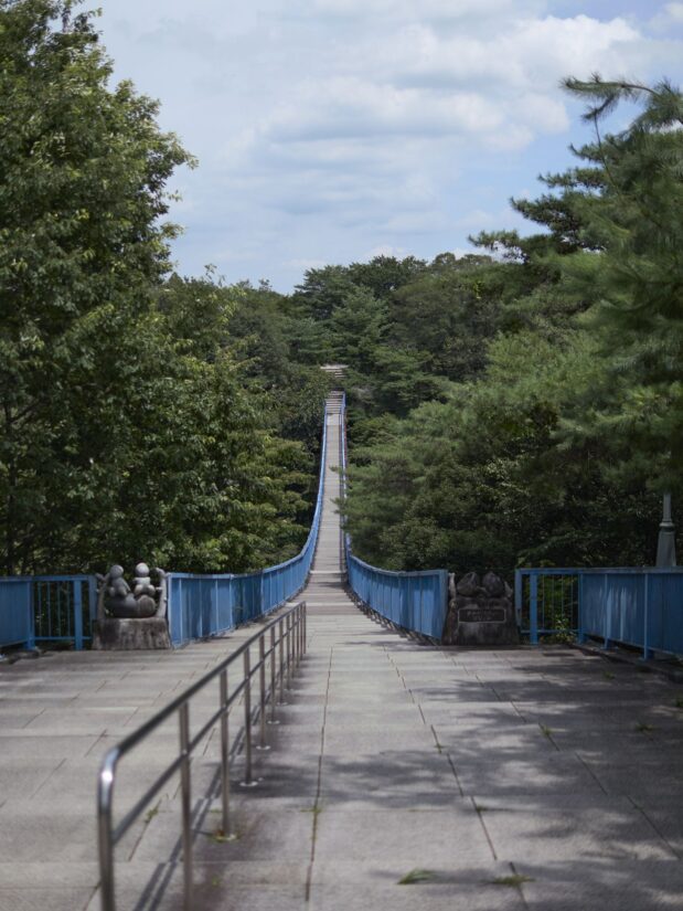 DC-G9M2 ( f/1.4, 1/20000sec, ISO-100, 25mm )