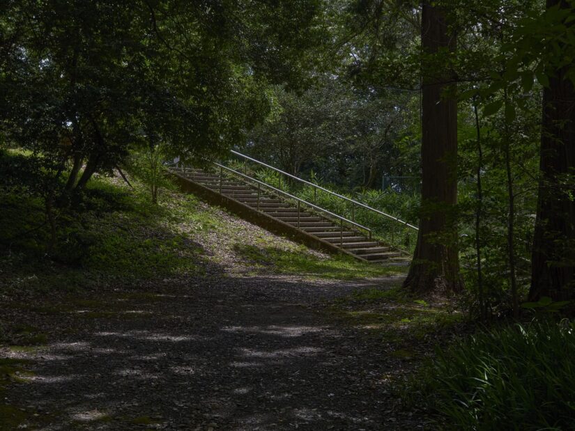 DC-G9M2 ( f/5.6, 1/250sec, ISO-100, 25mm )