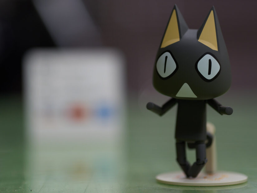 SIGMA 56mm F1.4 DC DN ( f/1.4, 1/100sec, ISO-100, 56mm )