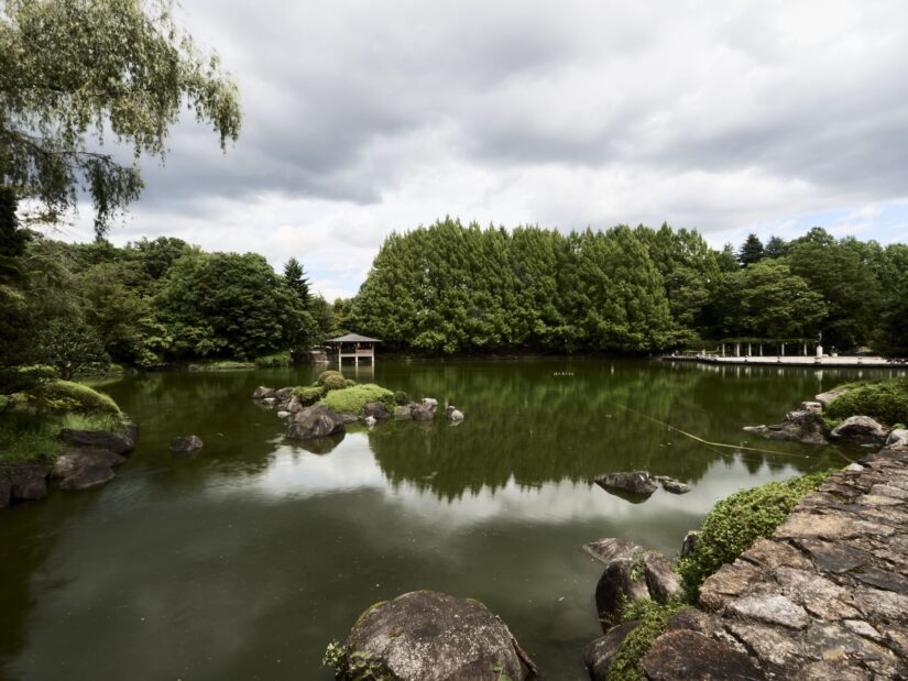 OM-5 ( f/22, 1/2sec, ISO-200, 9mm )