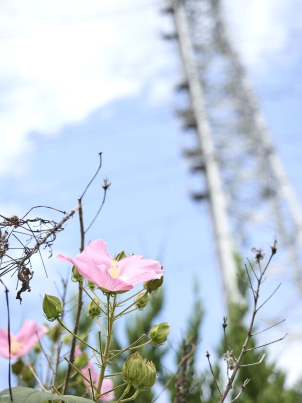OM-5 ( f/2.8, 1/5000sec, ISO-200, 40mm )