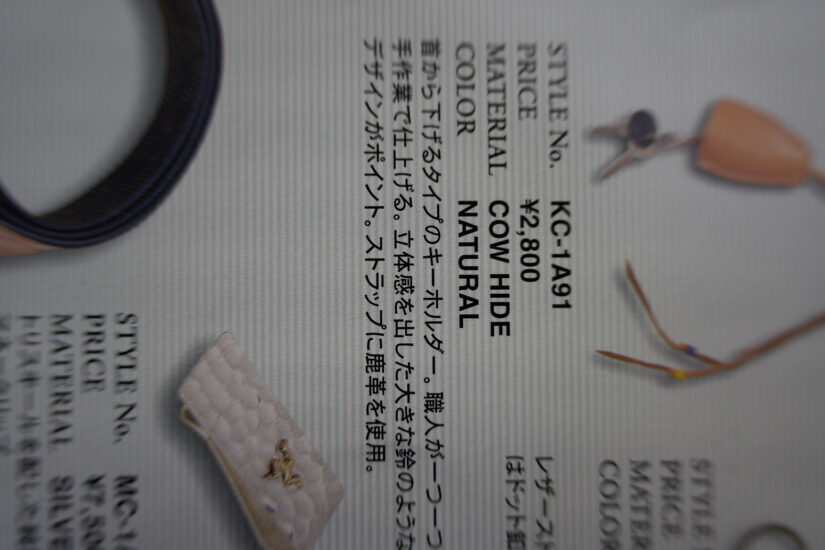 E 50-300mm F4.5-6.3 ( f/4.5, 1/25sec, ISO-100, 50mm )
