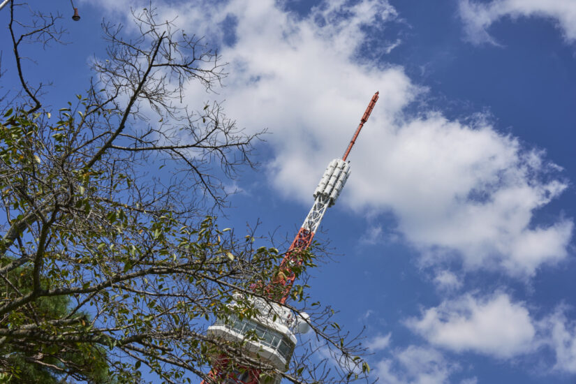 ILCE-7CM2 ( f/13, 1/200sec, ISO-100, 50mm )