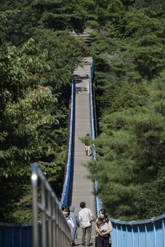 ILCE-7CM2 ( f/9, 1/200sec, ISO-125, 200mm )