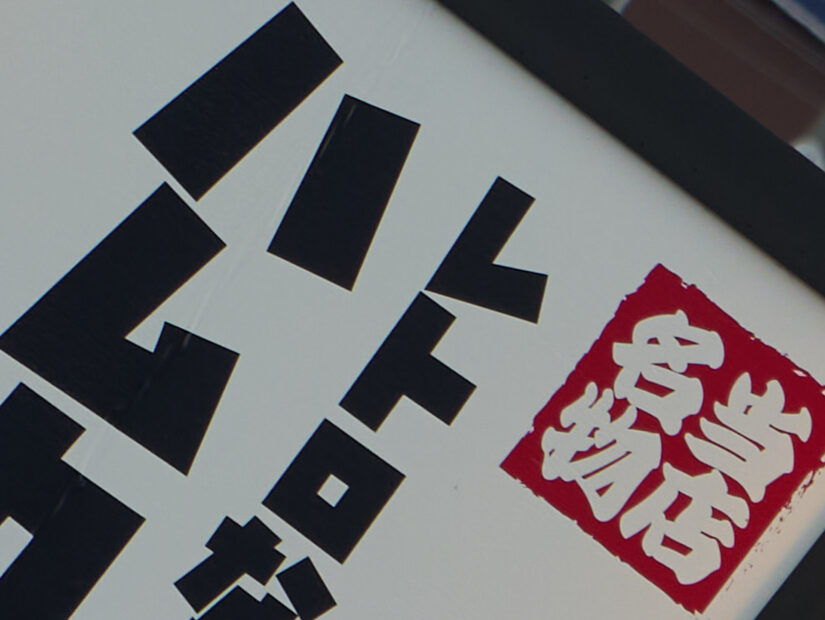 LEICA DG 50-200-F2.8-4.0 ( f/5.6, 1/250sec, ISO-100, 100mm )