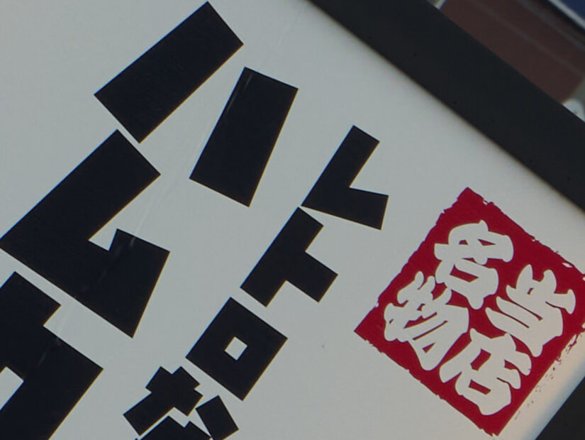 LEICA DG 50-200-F2.8-4.0 ( f/8, 1/125sec, ISO-100, 100mm )