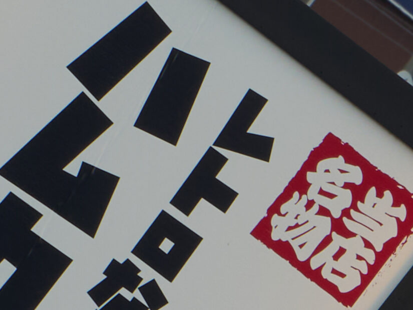 LEICA DG 50-200-F2.8-4.0 ( f/11, 1/60sec, ISO-100, 100mm )