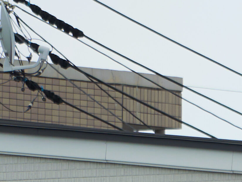LEICA DG 50-200-F2.8-4.0 ( f/3.6, 1/400sec, ISO-100, 100mm )
