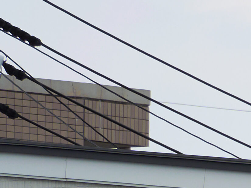 LEICA DG 100-400-F4-6.3II ( f/5.6, 1/160sec, ISO-100, 100mm )