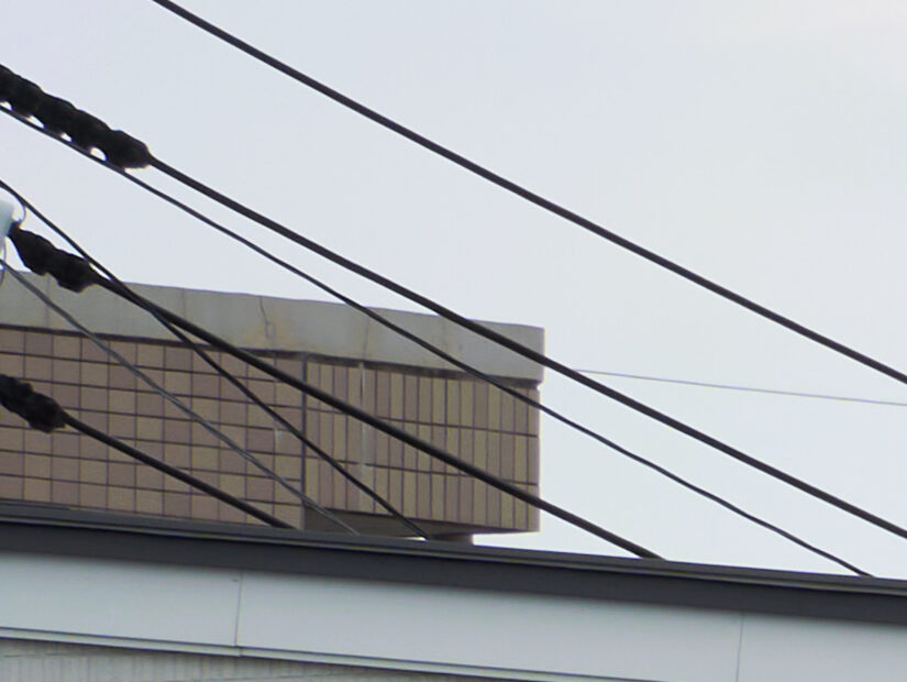 LEICA DG 100-400-F4-6.3II ( f/8, 1/80sec, ISO-100, 100mm )