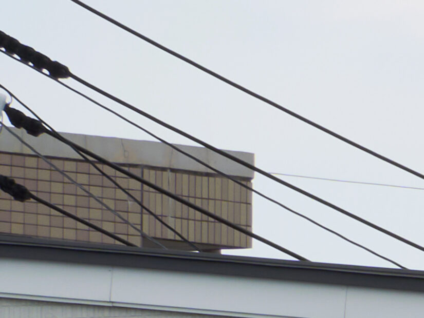 LEICA DG 100-400-F4-6.3II ( f/11, 1/40sec, ISO-100, 100mm )