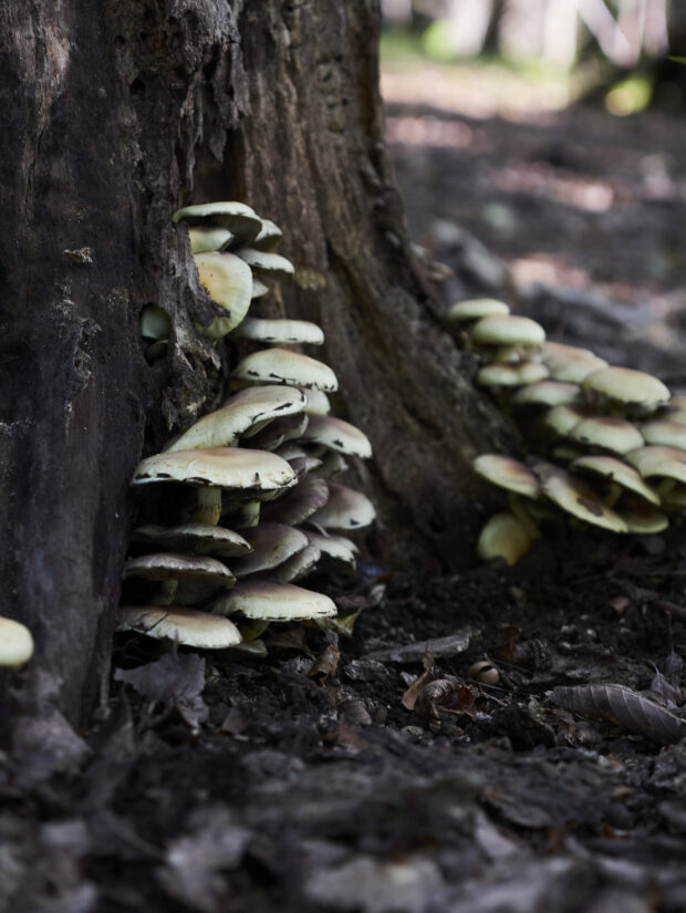 DC-GF9 ( f/2.8, 1/100sec, ISO-200, 35mm )
