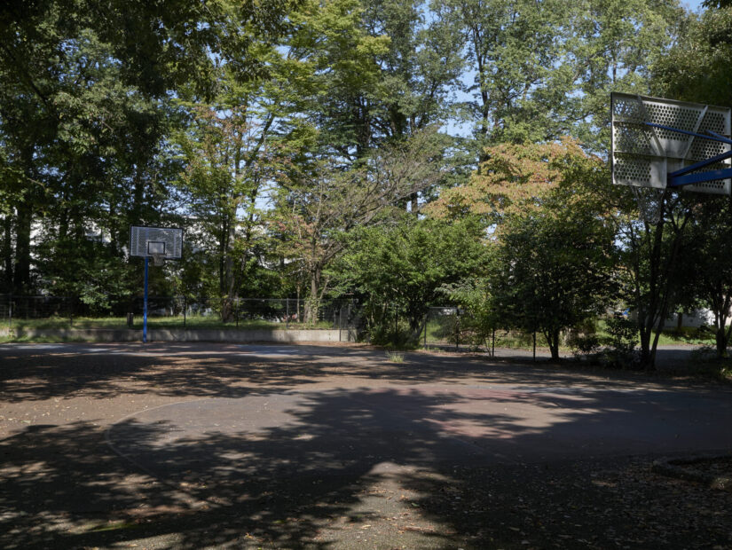 DC-GF9 ( f/5.6, 1/400sec, ISO-200, 23mm )