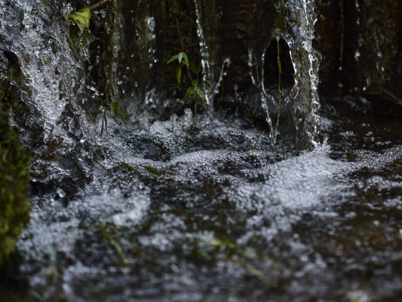 DC-G9M2 ( f/1.4, 1/5000sec, ISO-2000, 56mm )