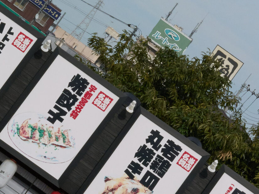 DC-G9M2 ( f/16, 1/800sec, ISO-1250, 56mm )