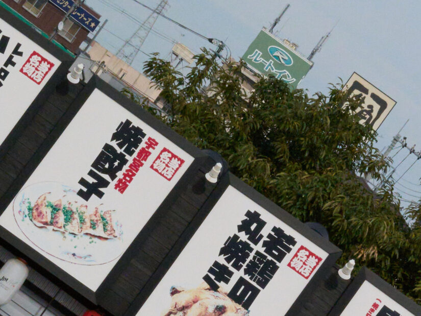 DC-G9M2 ( f/16, 1/2500sec, ISO-4000, 56mm )