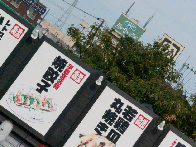 DC-G9M2 ( f/16, 1/6400sec, ISO-10000, 56mm )