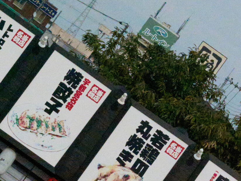 DC-G9M2 ( f/16, 1/16000sec, ISO-25600, 56mm )