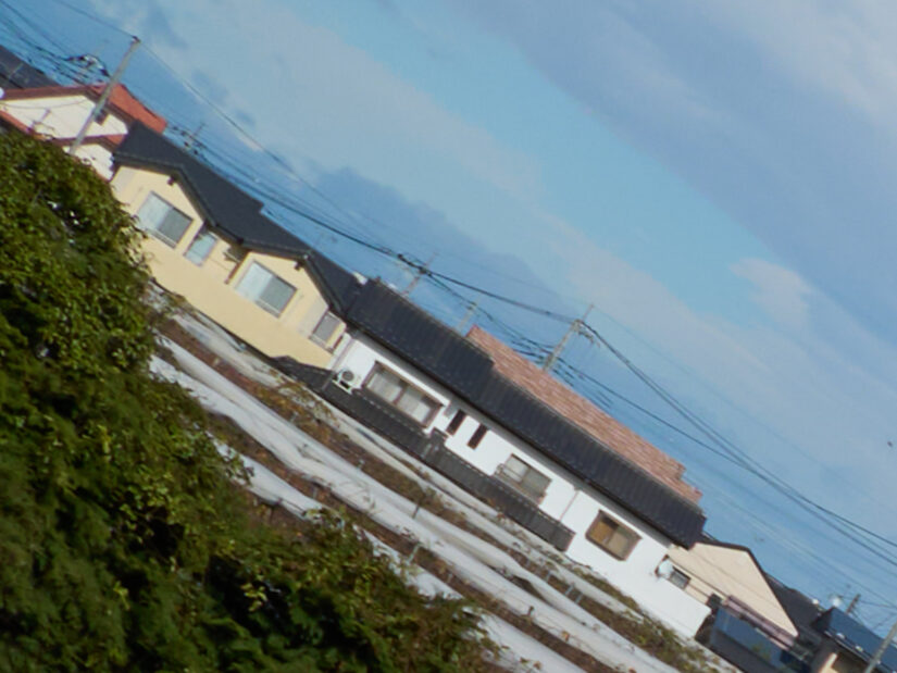 OM 12-45mm F4.0 ( f/8, 1/400sec, ISO-100, 12mm )