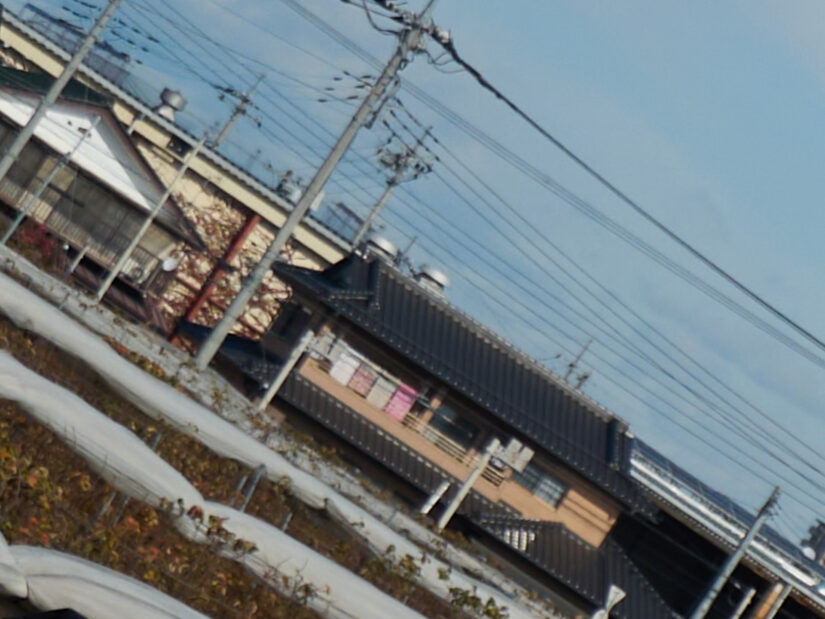 OM 12-45mm F4.0 ( f/4, 1/2000sec, ISO-100, 25mm )