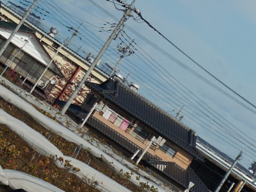 OM 12-45mm F4.0 ( f/5.6, 1/1000sec, ISO-100, 25mm )