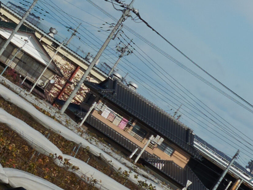 OM 12-45mm F4.0 ( f/8, 1/500sec, ISO-100, 25mm )