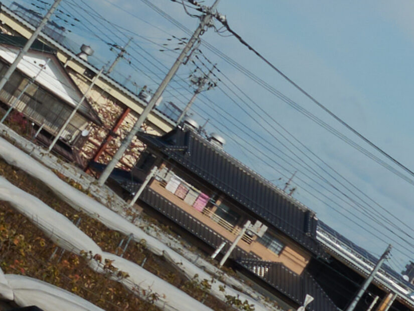 OM 12-45mm F4.0 ( f/11, 1/250sec, ISO-100, 25mm )