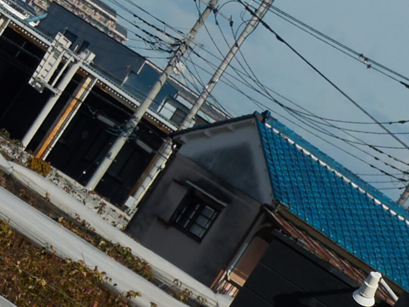 OM 12-45mm F4.0 ( f/5.6, 1/1000sec, ISO-100, 35mm )