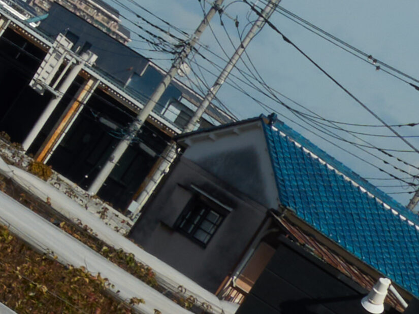 OM 12-45mm F4.0 ( f/11, 1/250sec, ISO-100, 35mm )