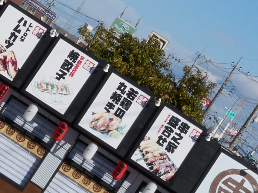 LEICA DG 12-35-F2.8 ( f/11, 1/250sec, ISO-100, 12mm )