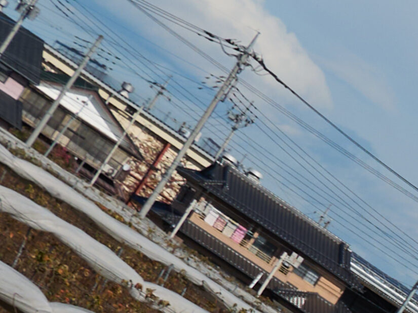 LEICA DG 12-35-F2.8 ( f/4, 1/2000sec, ISO-100, 25mm )