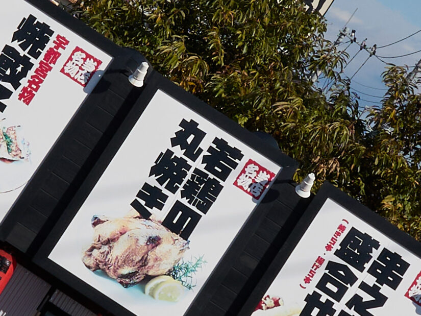 LEICA DG 12-35-F2.8 ( f/5.6, 1/1000sec, ISO-100, 25mm )