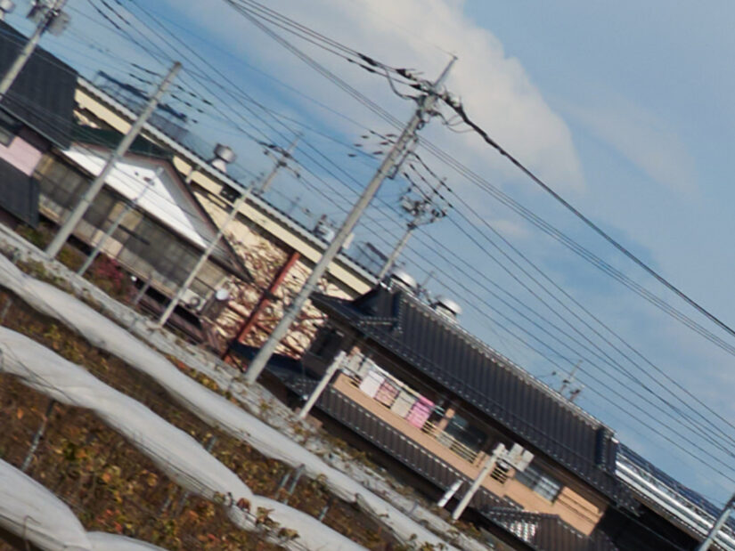 LEICA DG 12-35-F2.8 ( f/5.6, 1/1000sec, ISO-100, 25mm )