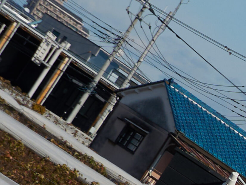 LEICA DG 12-35-F2.8 ( f/4, 1/2000sec, ISO-100, 35mm )