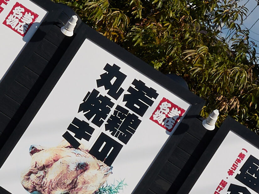 LEICA DG 12-35-F2.8 ( f/5.6, 1/1000sec, ISO-100, 35mm )