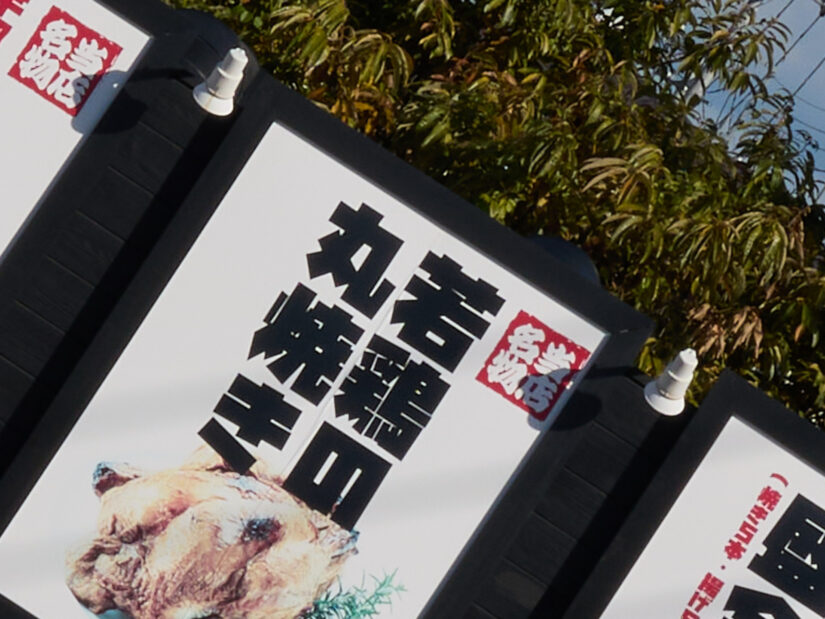 LEICA DG 12-35-F2.8 ( f/11, 1/250sec, ISO-100, 35mm )