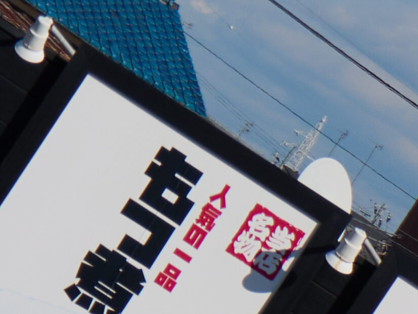 LUMIX G VARIO 14-140-F3.5-5.6 II ( f/4.9, 1/1600sec, ISO-100, 46mm )