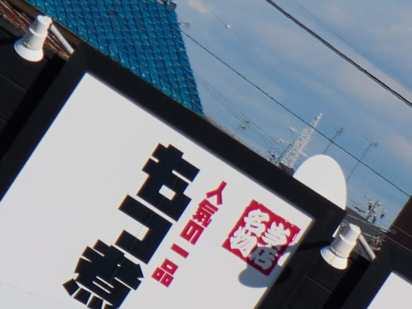 LUMIX G VARIO 14-140-F3.5-5.6 II ( f/5.6, 1/1000sec, ISO-100, 46mm )